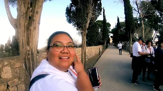 Mt. Tabor & Cana | Day 3 of Holy Land Pilgrimage Series