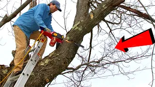 Top 10 Tree Felling Fails & Idiots With Chainsaw ! Dangerous Cutting Down Skills