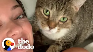 Karen The Feral Cat Demands Snuggles From Her Mom | The Dodo Cat Crazy