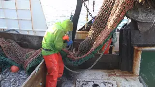 Squid fishing off Nantucket on the Ann Kathryn