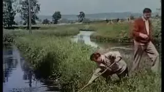 ☛☛ Die Fischerin vom Bodensee. 1956 ☚☚