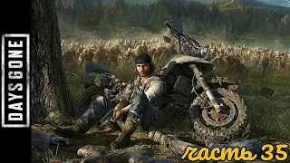 Days Gone. Часть 35. ФИНАЛ. Ополчение // Вольный байкер // Где мои кольца? // Во благо других