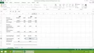 Excel  2013 Tutorial - How to Calculate Gross Profit Margin and Gross Profit Margin Percent