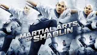 Film Kungfu Cina Terbaru | The Shaolin Temple (Shao Lin si) (1982) Sub Indonesia