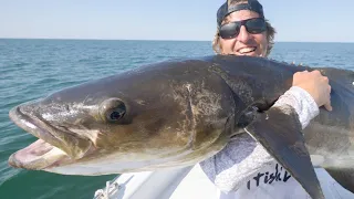 RECORD BREAKING GIANT FISH!! Cobia Fishing with Jigs