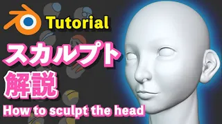 【Blender 2.93 Tutorial】キャラクター頭のスカルプト解説 - How to sculpt a character's head