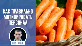 Как правильно мотивировать персонал (сотрудников). 3 правила мотивации продавцов