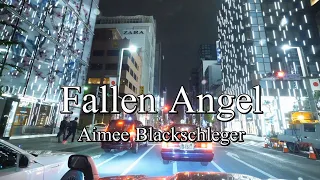 Fallen Angel - Aimee Blackschleger