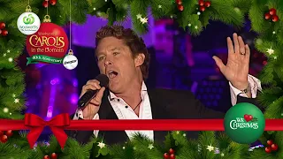 David Hasselhoff 2005 | Woolworths Carols in the Domain