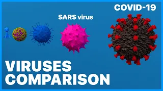 Viruses Size Comparison 2K (3D) • 2020