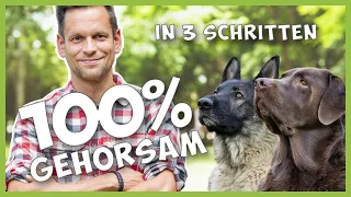 Hunde souverän führen - So wirst du zum LEADER (3 Schritte zum Erfolg)