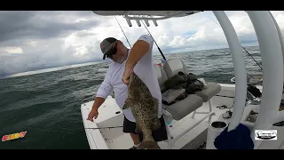 Tampa Bay Fishing and Red Tide Conditions!