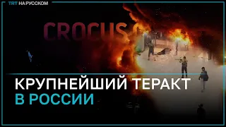 Кто ответственен за теракт в Москве, и почему жертв может быть намного больше?