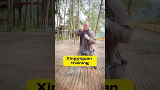 Xingyiquan, the most practical martial art in China #kungfu