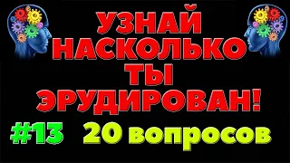 УЗНАЙ НАСКОЛЬКО ТЫ ЭРУДИРОВАН (ТЕСТ) #13