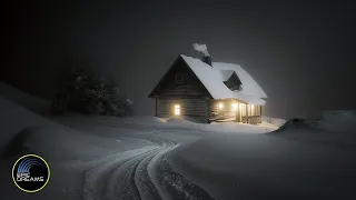 Wind Sounds for Sleeping┇Howling Wind & Blowing Snow┇Winter Storm & Icy Snowstorm Ambience