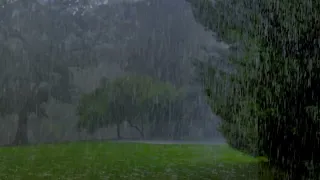 rain very strong  | heavy rain sounds for sleeping