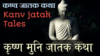 ☸️ 11: कण्व जातक कथा, Knav Jatak Tales | कृष्णा ऋषि जातक कथा #Krishna ,4 आर्य सत्य, 4 Arya satya