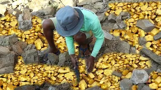 Lucky Mining Gold! I found a lot of gold treasure under stone at mountain, Digging Gold Excited