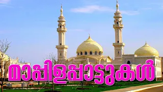 അള്ളാ ജീവിതം അരുളുന്നു allah jeevitham arulunnu nh47 adish krishna kutty patturumal songs