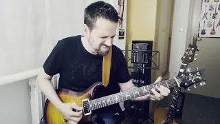 Tears For Fears - Everybody Wants To Rule The World (Guitar Cover By Fran López)