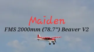 FMS 2000mm (78.7") Beaver V2