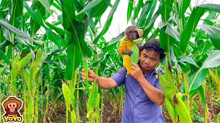 Peaceful life of Grandpa and YoYo JR harvesting vegetables to cooking and gardening | Full version