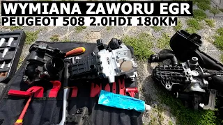 [Zrób to sam] Wymiana zaworu EGR w Peugeot 508 2.0HDI 180KM  - Andrzeja MOTO Świat #66