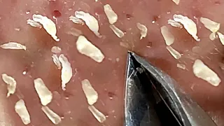 Make Your Day Satisfying with An Popping New Videos #18