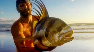 Popper Fishing Roosterfish IN THE SURF!