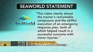 Video shows whale attacking trainer at Sea World