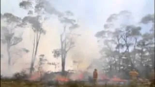 В Австралии из-за лесных пожаров введен режим чрезвычайной ситуации