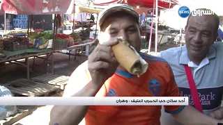 #وهران|حي الحمري العتيق .. شاهد على زمن من ذهب