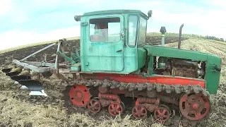 Трактор ДТ-75 и МТЗ-82 на вспашке поля после кукурузы, подсолнуха, ячменя #сельхозтехника