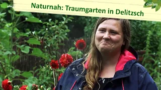 Ein naturnaher Garten mit viel Wildwuchs in Delitzsch | MDR Garten | MDR