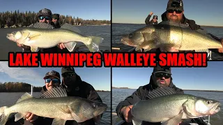 Lake Winnipeg Walleye SMASH!!