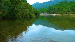 The flowing sound of beautiful mountain rivers.Nature birds singing: Relax, Sleep