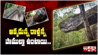 Story Behind Giant Snake Stones in Thailand || Thailand Naka Caves || TV45 Digital