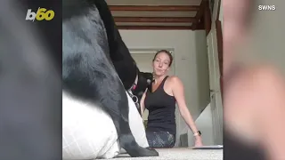 Watch as Yoga Instructor’s Session Is Hilariously Interrupted by Her Dog Humping a Pillow!