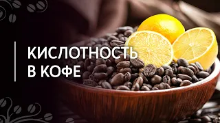 Почему мой кофе кислый? | Кислотность в кофе, как уменьшить негативную кислотность