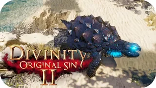 Tainted Turtles – Divinity Original Sin 2 Co-op Gameplay – Let's Play Part 2