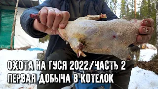 Охота на гуся 2022/Первые налеты/Что добыли, то и готовим/Часть 2