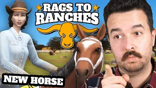New horse joins the ranch! Rags to Ranches (Part 7)