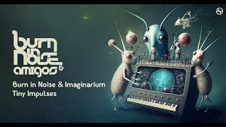 Burn in Noise Vs Imaginarium - Tiny Impulses