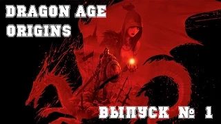 Прохождение Dragon Age:Origins (Эльф.Маг) часть 1.Башня Круга