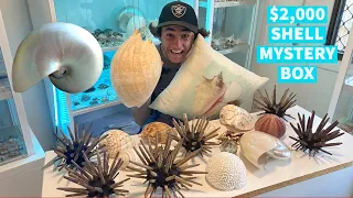 UNBOXING A $1,000 SEASHELL MYSTERY BOX!