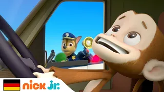 PAW Patrol | Die Welpen retten einen Affen! | Nick Jr. Deutschland