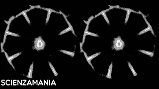 Il telescopio James Webb lo fa di nuovo! Nuova scoperta della vita al Big Bang