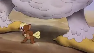 Tom & Jerry -  Fine Feathered Friend  -  Season 1   Episode 8 Part 2 of 3