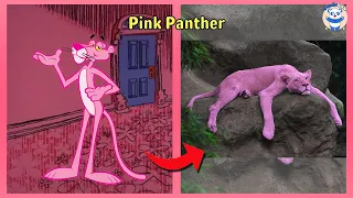 Pink Panther & Pals Characters In REAL LIFE 2022